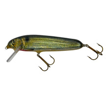 画像をギャラリービューアに読み込む, BIG GAME TACKLE COMPANY MUSKY FISHING LURE L
