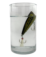 Load image into Gallery viewer, REBEL LURES P70 POP R FISHING LURE in OLE BASS. Old School Topwater Bass Fishing. Positive Water Test
