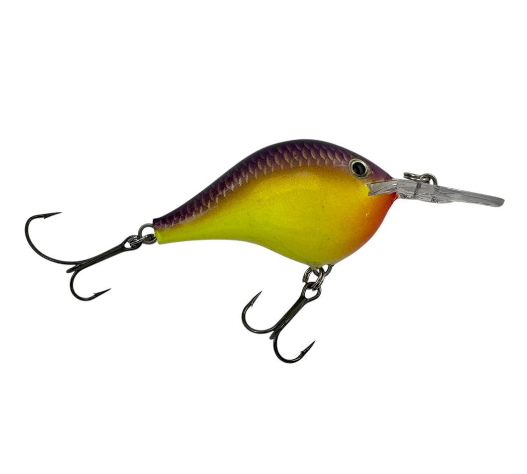 RAPALA LURES DT6 Fishing Lure in CHARTREUSE PURPLE SHINER. Balsa Crankbait with Sure Set Hooks.