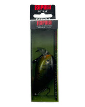 Load image into Gallery viewer, RAPALA LURES DT-FAT SHALLOW RUNNER in MARDI GRAS. DIVES-TO Series Waker. dark craw crank
