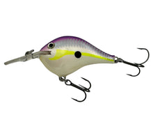 Charger l&#39;image dans la galerie, RAPALA LURES DT6. DIVES TO 6 FEET Fishing Lure in REGAL SHAD. 2
