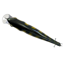 Lade das Bild in den Galerie-Viewer, RAPALA LURES SUPER SHAD RAP.  GREEN ROACH. SSR 14 GSH. D
