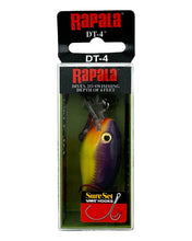 Charger l&#39;image dans la galerie, RAPALA LURES DT 4 Fishing Lure in CHARTREUSE PURPLE SHINER. Dives to Balsa Crankbait.
