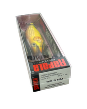 Charger l'image dans la galerie, RAPALA FISHING LURES RISTO RAP leurre de pêche. HOT MUSTARD. MODEL RR-9 HM. grand plongeur moutarde chaude

