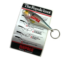 画像をギャラリービューアに読み込む, NORMARK RAPALA IRELAND Fishing Lures TACKLE BOX. Rapala Special Included. keychain
