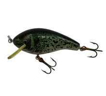 Load image into Gallery viewer, REBEL LURES SMALL SHALLOW R FISHING LURE in NATURAL CRAPPIE L
