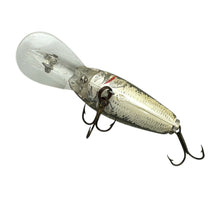 Load image into Gallery viewer, REBEL LURES HUMPBACK FISHING LURE in NATURALIZED BASS D2576 V
