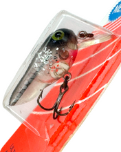 Load image into Gallery viewer, Rebel Tadfry Ultra Light Fishing Lure. Shad Tad. up close
