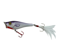 Load image into Gallery viewer, BERKLEY FRENZY POPPER FISHING LURE. PURPLE GHOST TOPWATER Bait. L
