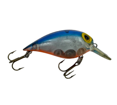 STORM LURES SHORT WART BLUE BACK, ORANGE BELLY, PRIZMFLASH R
