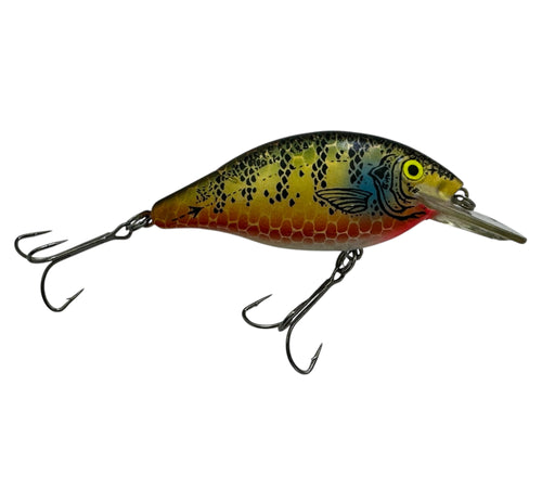 LUHR JENSEN SPEED TRAP Vintage Crankbait in BLEEDING PERCH