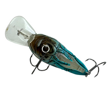 Lade das Bild in den Galerie-Viewer, KOPPERS LIVETARGET CRAWFISH SQUARE BILL CRANKBAIT. BLUE CRAW. V
