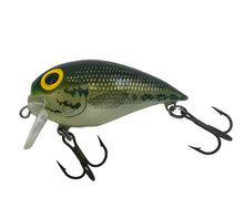 Load image into Gallery viewer, STORM LURES SUBWART. BASS Wake Bait. L

