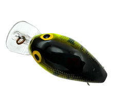 Load image into Gallery viewer, STORM LURES MIDWART MID RUNNER CRANKBAIT. NATURISTIC PERCH. D
