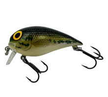 Load image into Gallery viewer, Storm Subwart Wake Bait. Bass Fishing Lure. L
