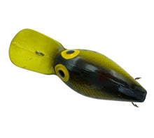 Load image into Gallery viewer, STORM LURES BASS and ORANGE BELLY WIGGLE WART dorsal
