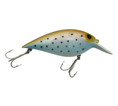 STORM THIN FIN FATSO Fishing Lure in TROUT. Or Short Wart in Rainbow Trout. R