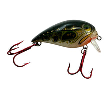 Load image into Gallery viewer, STORM LURES SUBWART 5 Fishing Lure in GREEN FROG 1
