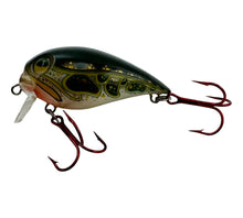 Load image into Gallery viewer, STORM LURES SUBWART 5 Fishing Lure in GREEN FROG 2
