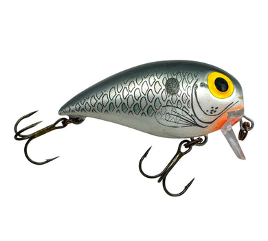 Storm Subwart 7 Wake Bait in Shad R