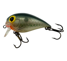 Load image into Gallery viewer, Left Facing View for STORM LURES SUBWART 5 Fishing Lure in SHAD. Peacock Bass Wake Bait.
