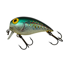 Load image into Gallery viewer, STORM LURES SUBWART Size 7 Discontinued Wake Bait in TEXAS SHAD L
