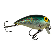 Load image into Gallery viewer, STORM LURES SUBWART Size 7 Discontinued Wake Bait in TEXAS SHAD R
