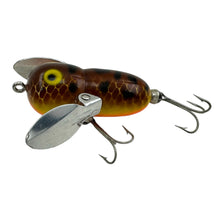 画像をギャラリービューアに読み込む, HEDDON TINY CRAZY CRAWLER BROWN CRAWDAD TOPWATER FISHING LUREL
