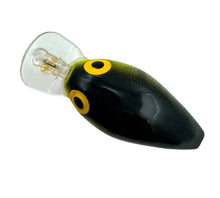 Load image into Gallery viewer, Dorsal View for STORM LURES MIDWART Fishing Lure in PERCH
