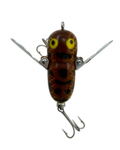 画像をギャラリービューアに読み込む, HEDDON TINY CRAZY CRAWLER BROWN CRAWDAD TOPWATER FISHING LURE D
