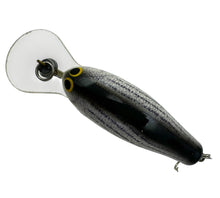 Load image into Gallery viewer, BAGLEY FISHING LURES DIVING KILLER B2 in TRUE LIFE STRIPER on WHITE D
