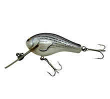 Load image into Gallery viewer, BAGLEY FISHING LURES DIVING killer B2 in TRUE LIFE STRIPER on WHITE L

