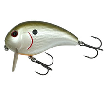 Charger l&#39;image dans la galerie, XCALIBUR HI-TEK TACKLE XW6 Wake Bait Fishing Lure in TENNESSEE SHAD 2
