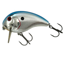 Load image into Gallery viewer, XCALIBUR TACKLE XW6 Wake Bait Fishing Lure in CHROME BLUE BACK 2
