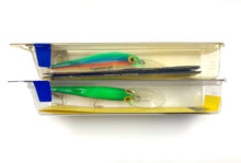 Load image into Gallery viewer, storm deep jr thunderstick lot x2. dj68. fluorescent rainbow. deep diving jerkbait
