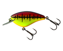 Load image into Gallery viewer, Left Facing View of Discontinued JACKALL BLING 55 Fishing Lure in (MAGENTA PURPLE MOHAWK) PUNK LINE. For Sale at Toad Tackle.
