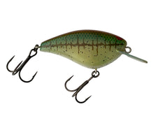 Charger l&#39;image dans la galerie, Right Facing View of Discontinued &amp; Hard-to-Find JACKALL BLING 55 Fishing Lure in BROWN SHINER PUNK LINE. For Sale at Toad Tackle.

