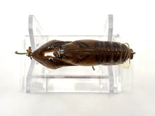 Load image into Gallery viewer, REBEL LURES Square Lip Crawdad Fishing Lure • Brown Crayfish

