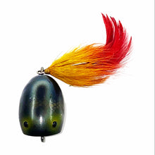 Load image into Gallery viewer, Tail View of Bradley Bait SPIN-O-POP Fishing Lure
