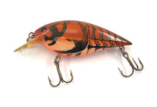 Charger l&#39;image dans la galerie, Left Facing View of STORM LURES SHORT WART Fishing Lure in NATURISTIC BROWN CRAYFISH
