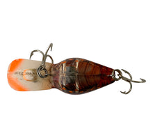 Lataa kuva Galleria-katseluun, Belly View of  STORM LURES WEE WART Fishing Lure in NATURISTIC PHANTOM BROWN CRAW (Crayfish, Crawdad). For Sale at Toad Tackle.
