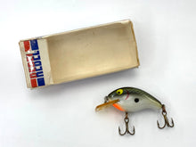 Load image into Gallery viewer, REBEL &quot;R&quot; Series Teeny Wee-R Vintage Fishing Lure • TENNESSEE SHAD
