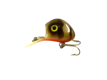 Load image into Gallery viewer, UBANGI Type Fishing Lure in BROWN TIGER

