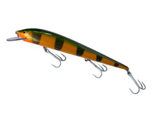Load image into Gallery viewer, Left Facing View of Nils Master Lures 25 Fishing Lure from Finland 07 Perch
