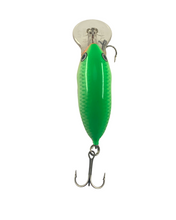 Load image into Gallery viewer, Toad Tackle • ToadTackle.net • ToadTackle.co • ToadTackle.us • Vintage Antique Discontinued Fishing Lures • Dives To 4 Feet • RAPALA DT-4 Fishing Lure • DTSS04 GSD GREEN SHAD
