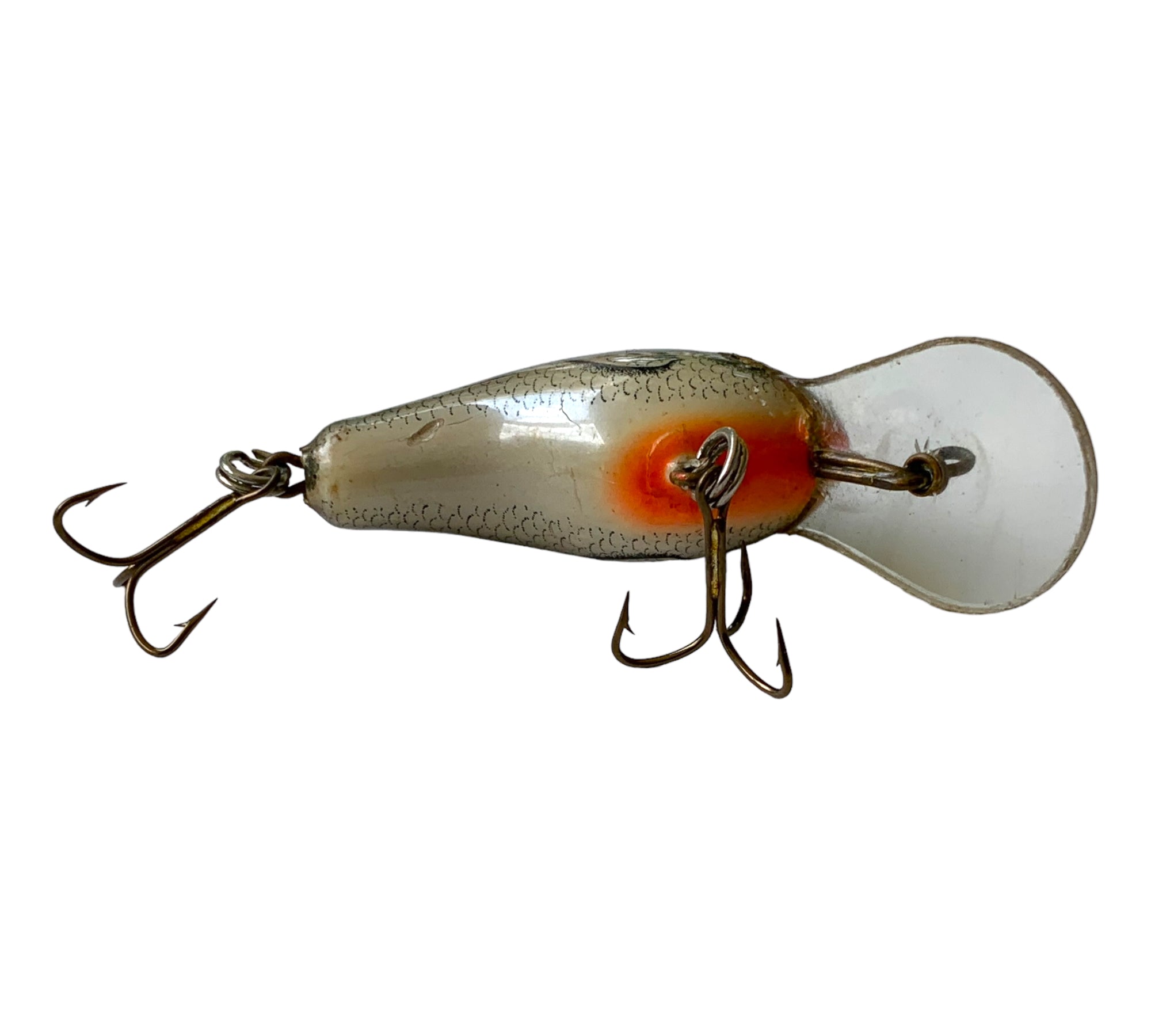 b fishing lures BAGLEY BAIT COMPANY DIVING BITTY B Fishing Lure • DHB1 TLS TRUE LIFE SHAD