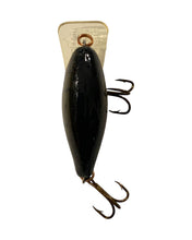 Charger l&#39;image dans la galerie, Top View of REBEL LURES SUPER TEENY R Fishing Lure in NATURALIZED BASS
