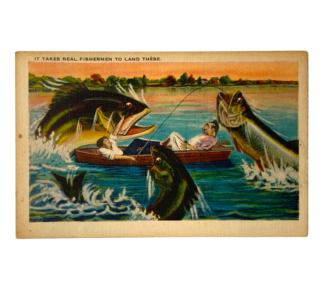 Front  View of BASS, MUSKY, WALLEYE GAMEFISH FISHING ANTIQUE TRAVEL POSTCARD. For Sale at Toad Tackle.