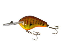 Load image into Gallery viewer, Left Facing View of Belly Stamped BAGLEY BAIT COMPANY Diving B 2 Fishing Lure in DARK CRAYFISH on CHARTREUSE. Available at Toad Tackle.
