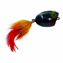 Load image into Gallery viewer, Right View of Bradley Bait SPIN-O-POP Fishing Lure
